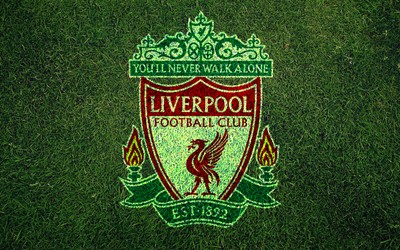 亿兆电竞-于帕梅卡诺这长传像艺术品